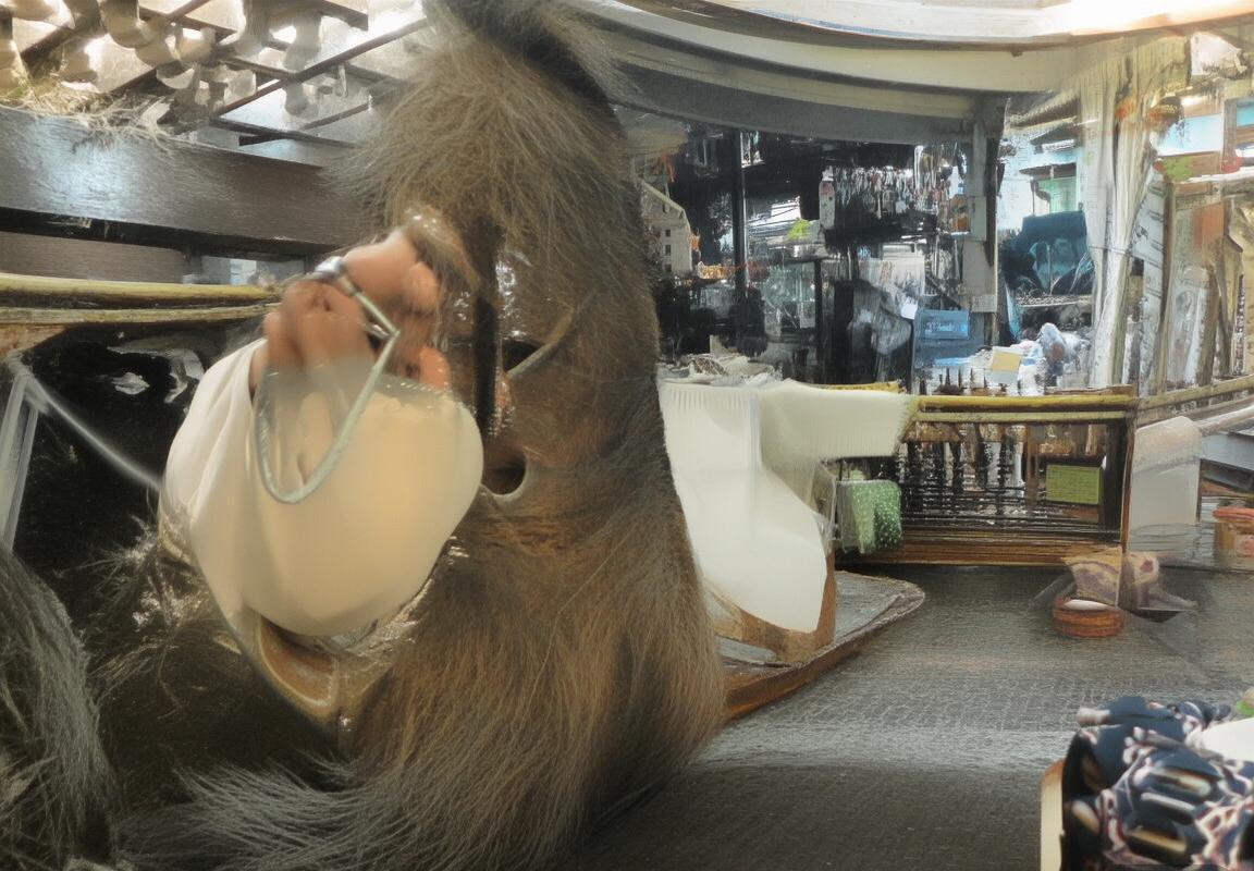 巴西奥地利友谊赛：激情对决，精彩瞬间回顾