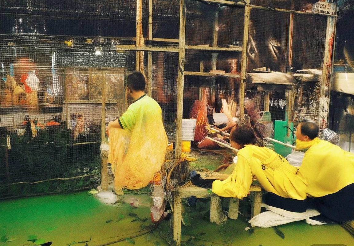 广东VS吉林篮球对决深度解析：赛前准备、关键时刻与未来展望